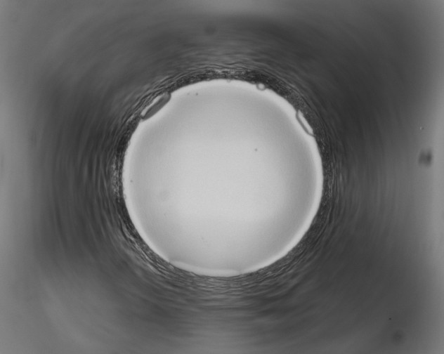 X0000115171298200912091014