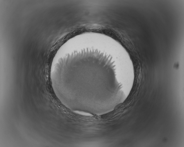 X0000115171301200912091014