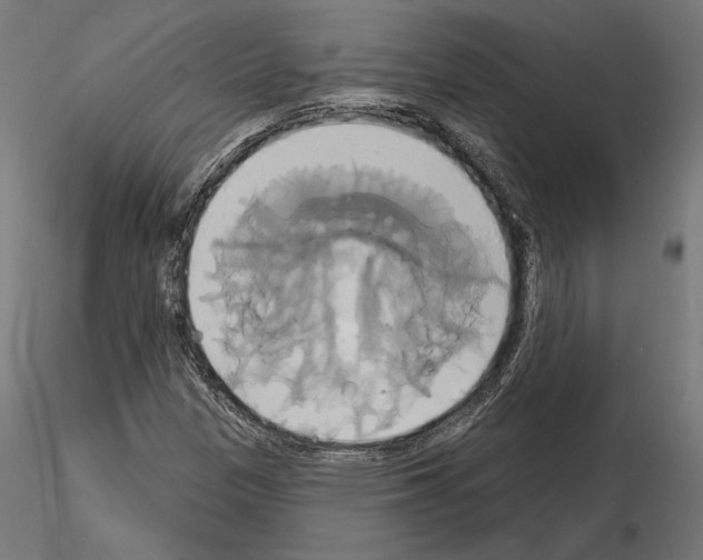 X0000115171305200912091014