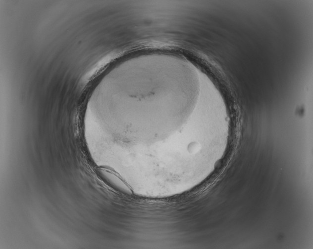 X0000115171306200912091014