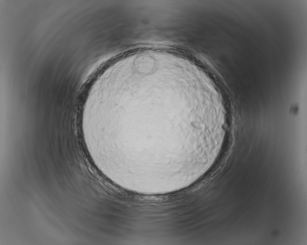 X0000115171307200912091014