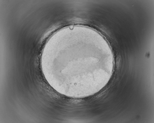 X0000115171309200912091014