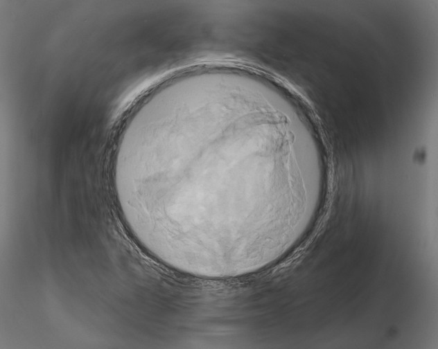 X0000115171311200912091014