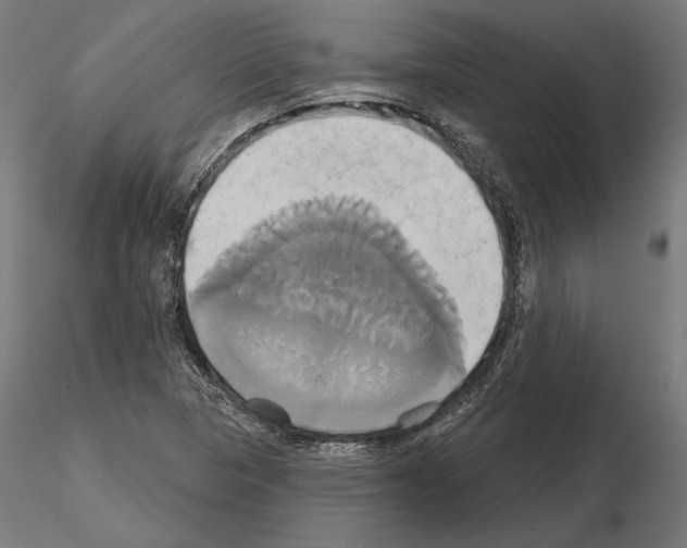 X0000115171313200912091014