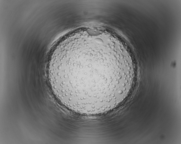 X0000115171315200912091014