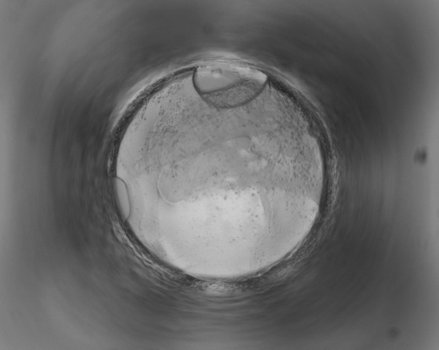 X0000115171318200912091014