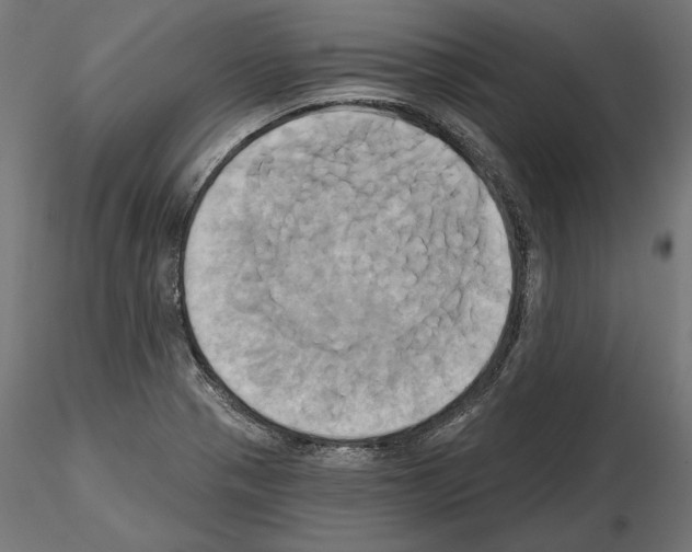 X0000115171321200912091014