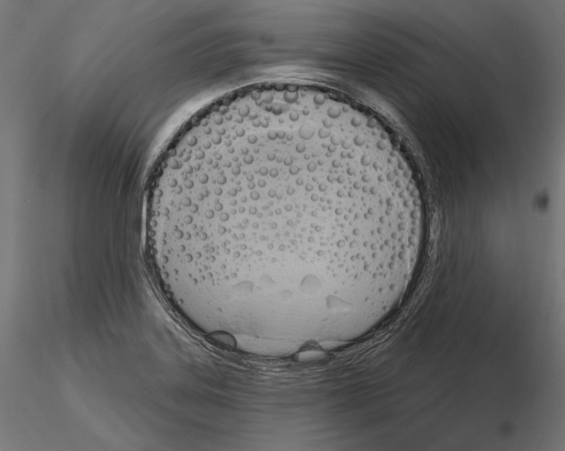 X0000115171323200912091014