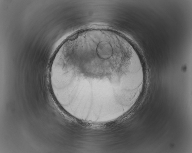 X0000115171325200912091014