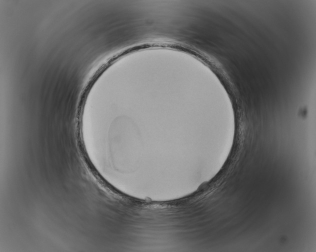 X0000115171327200912091014