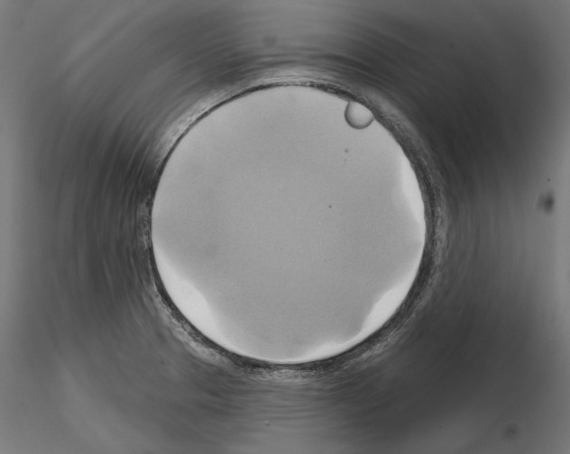 X0000115171329200912091014