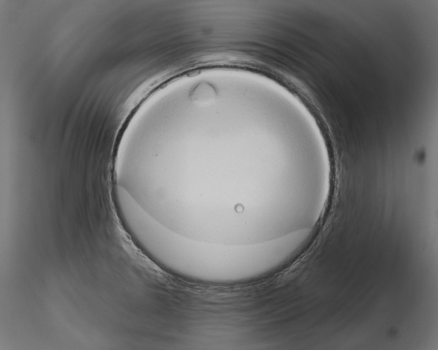 X0000115171330200912091014