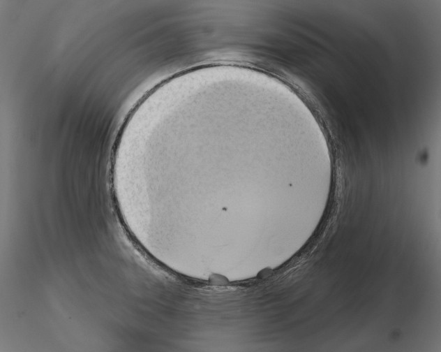 X0000115171331200912091014