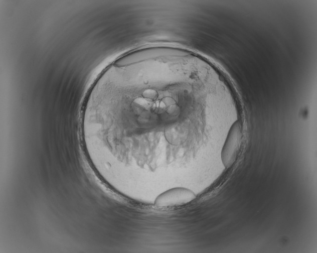 X0000115171333200912091014