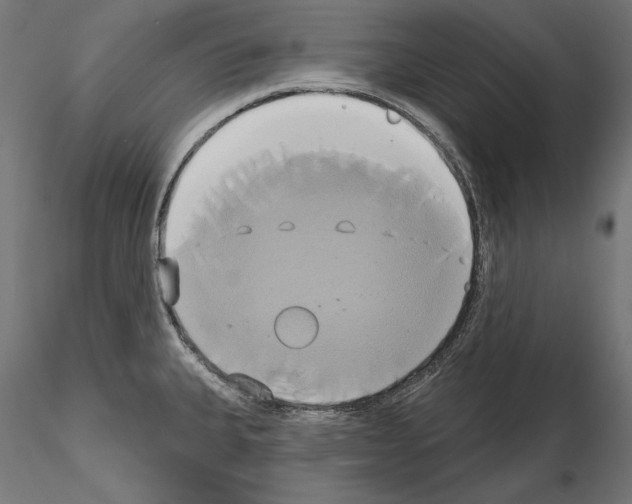 X0000115171335200912091014