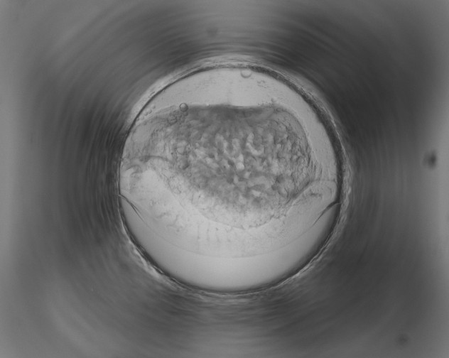 X0000115171337200912091014