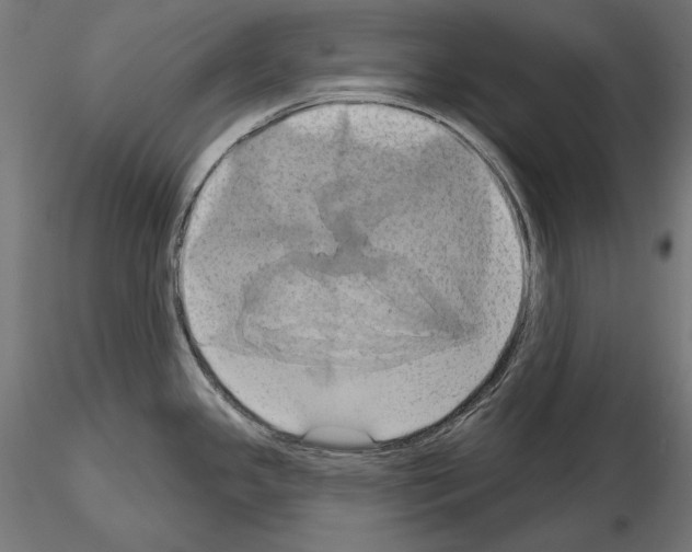 X0000115171341200912091014