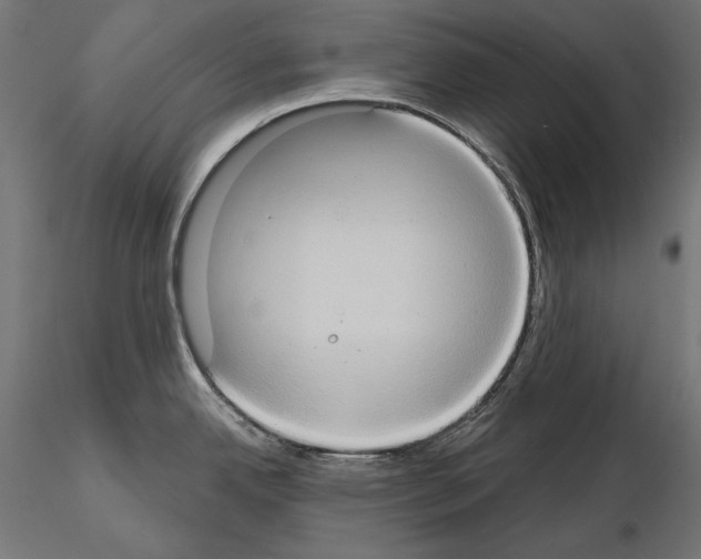 X0000115171342200912091014