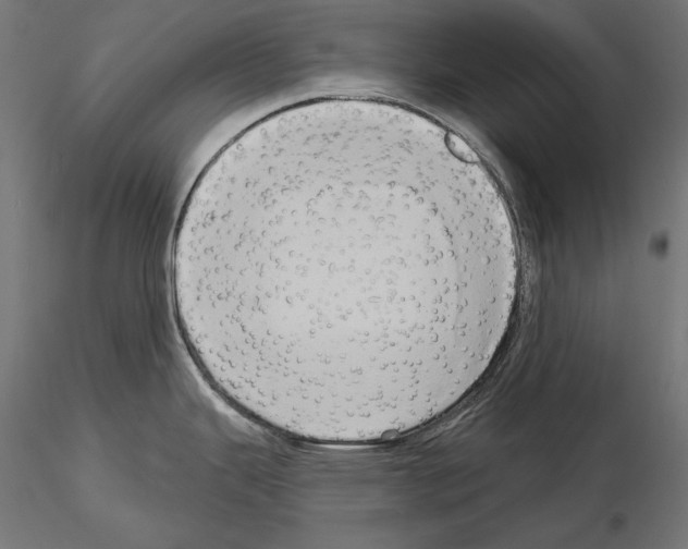 X0000115171343200912091014