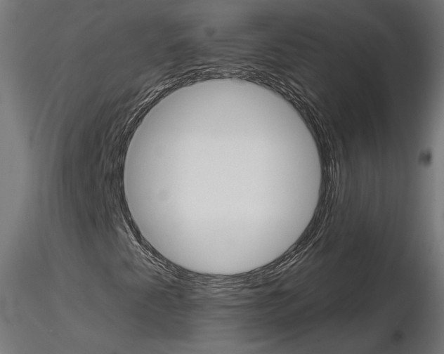 X0000115171345200912091014