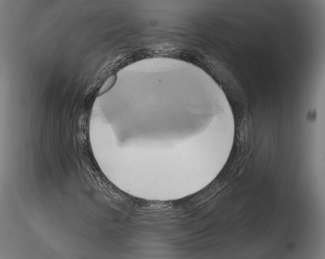 X0000115171346200912091014