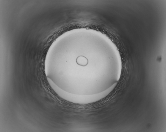 X0000115171349200912091014