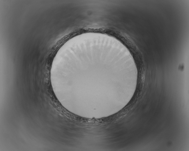 X0000115171350200912091014