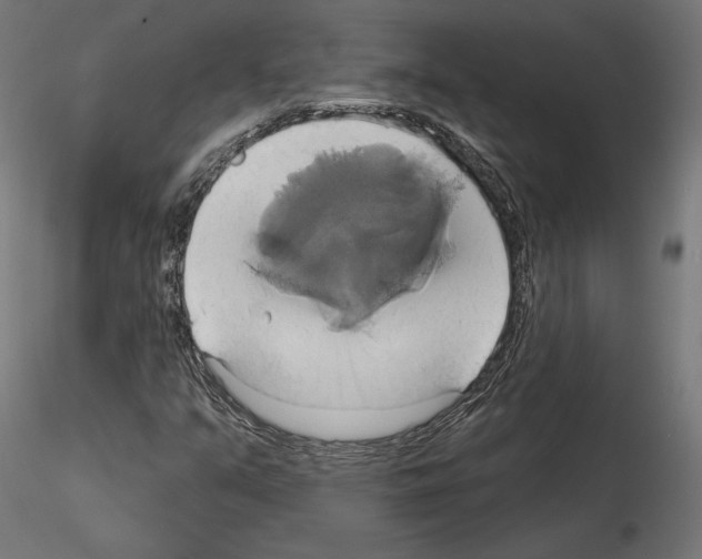 X0000115171351200912091014