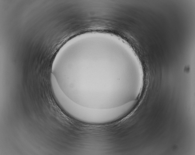 X0000115171353200912091014