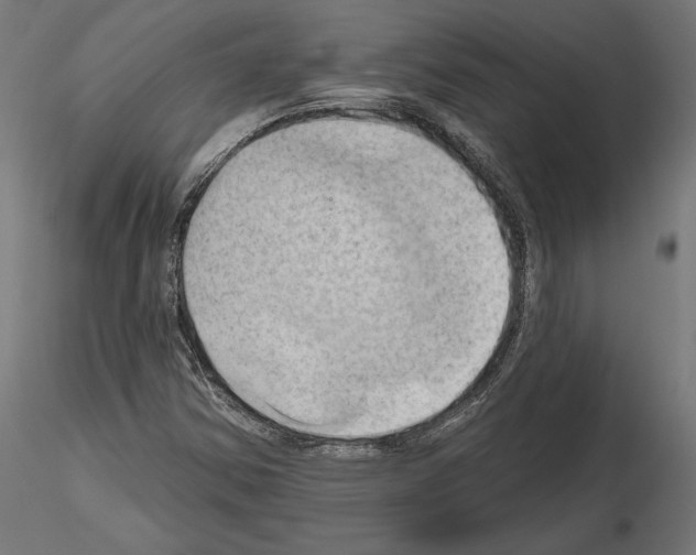 X0000115171354200912091013