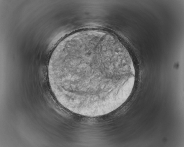 X0000115171355200912091013