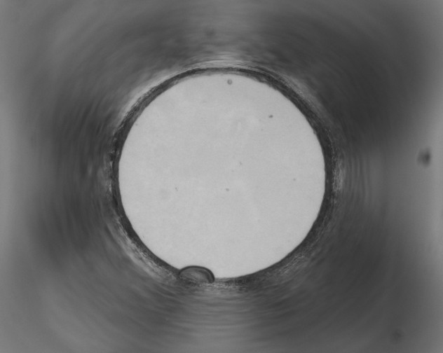 X0000115171356200912091013