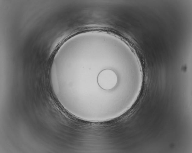 X0000115171357200912091013