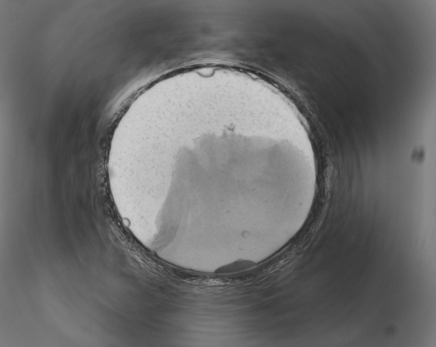 X0000115171359200912091013