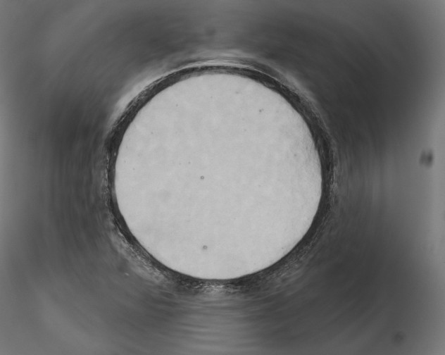 X0000115171360200912091013