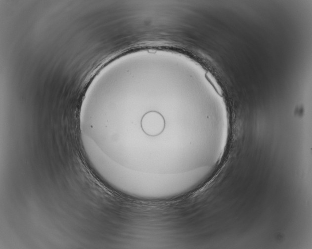 X0000115171361200912091013