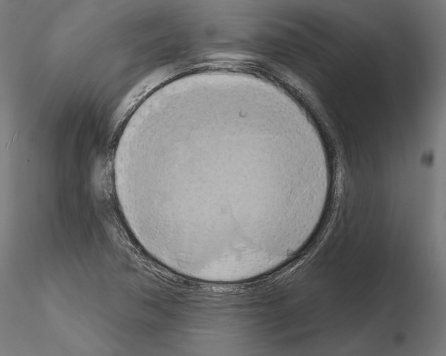 X0000115171362200912091013