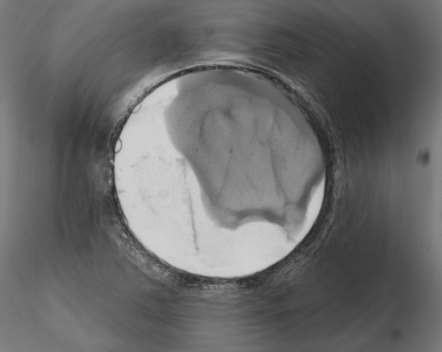 X0000115171363200912091013