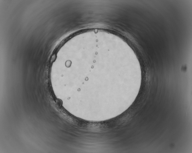 X0000115171364200912091013