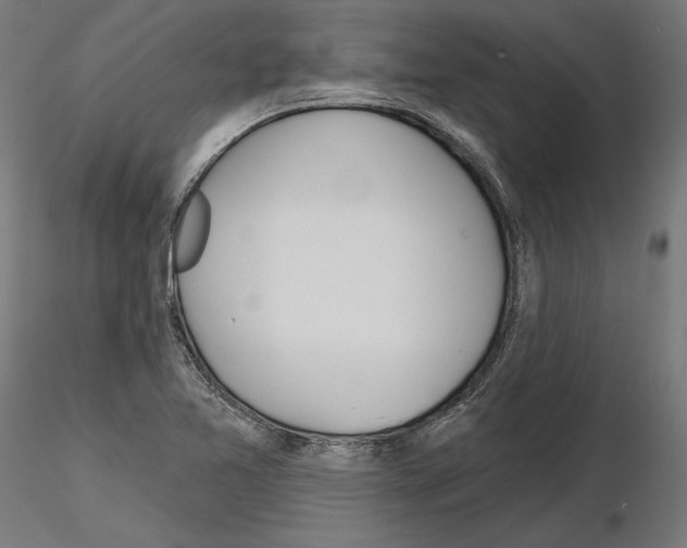 X0000115171365200912091013