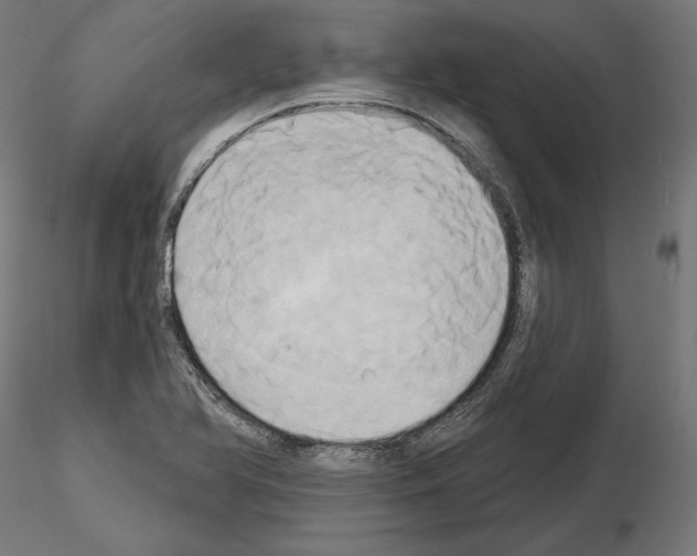 X0000115171366200912091013