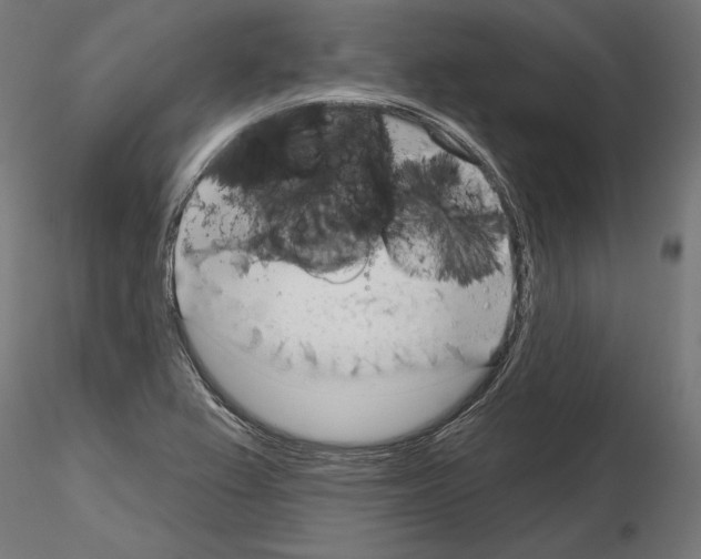 X0000115171367200912091013