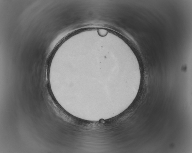 X0000115171368200912091013