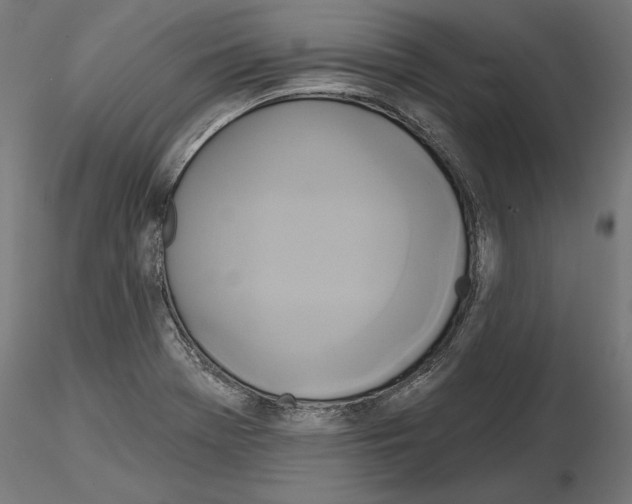 X0000115171369200912091013