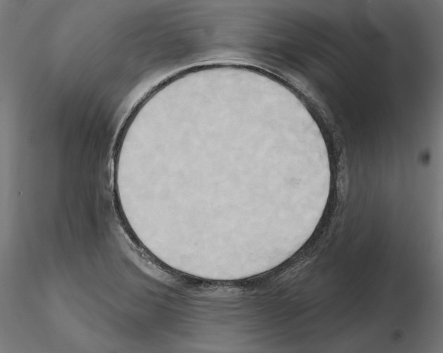 X0000115171372200912091013