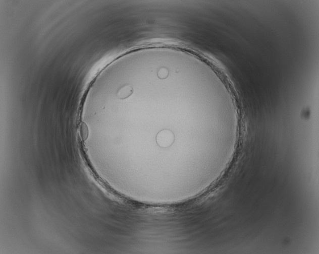 X0000115171373200912091013