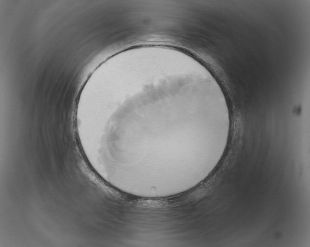 X0000115171374200912091013