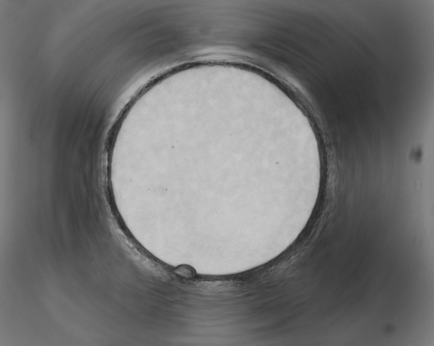 X0000115171376200912091013