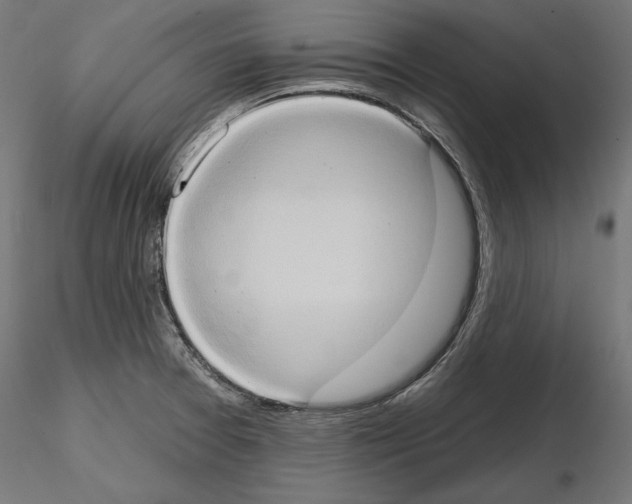 X0000115171377200912091013