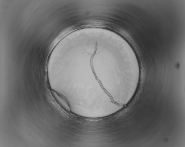 X0000115171378200912091013